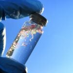 Researchers show that water triggers DNA-damaging free radicals on microplastics