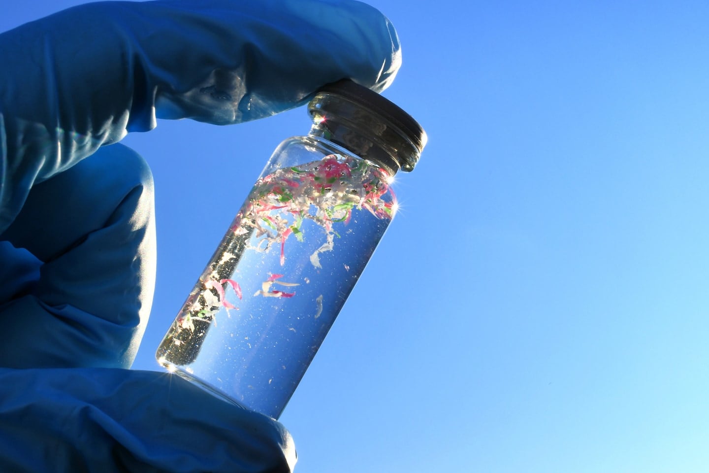 Researchers show that water triggers DNA-damaging free radicals on microplastics