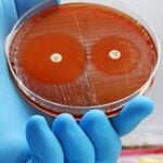 Merck Discontinues Recarbrio Antibiotic in US Market