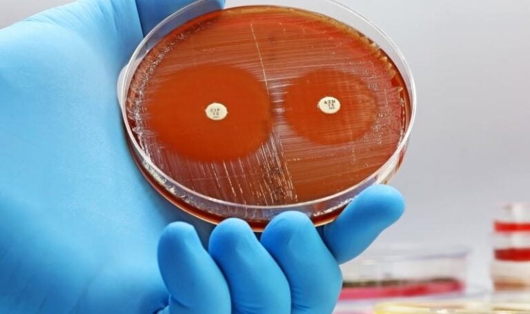 Merck Discontinues Recarbrio Antibiotic in US Market