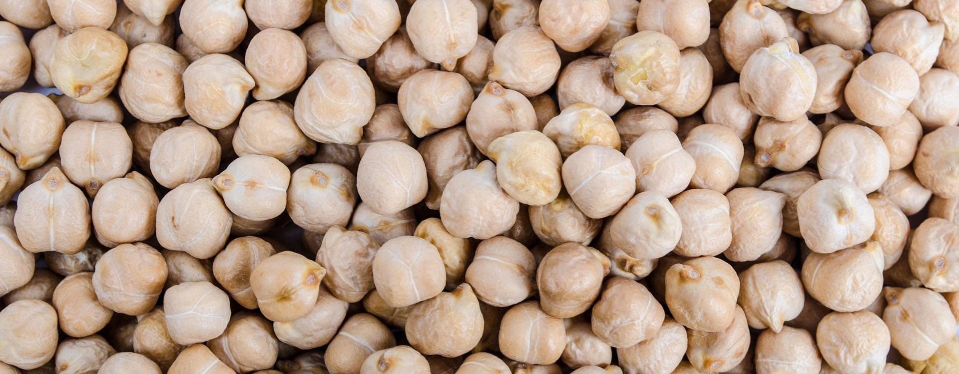 University of Queensland Researchers Propose Omic Technologies to Develop Heat-Adapted Chickpeas