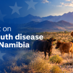 Zaamwani: Namibia Opts for FMD Vaccinations as Culling Window Expires