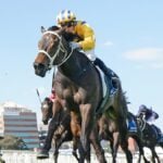 Blind Raise is one of the favourites for the Caulfield Guineas on Saturday. Photo / Scott Barbour, Racing Photos