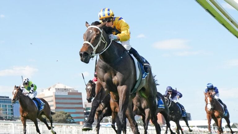 Blind Raise is one of the favourites for the Caulfield Guineas on Saturday. Photo / Scott Barbour, Racing Photos