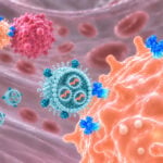 PPARD Activated in Immune Cells Becomes Cancer-Fighting Tool