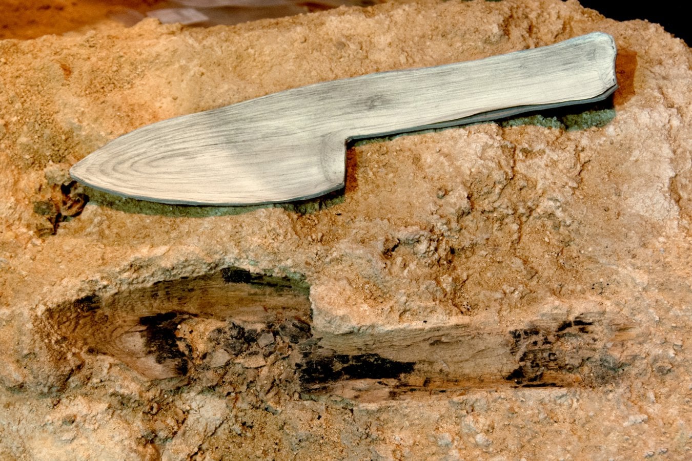 Abric Romaní Finds Reveal Advanced Neanderthal Woodworking Skills