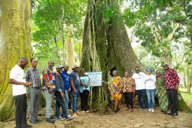 Tourism Minister Abla Dzifa Gomashie Urges Better Maintenance Of Eastern Region Sites