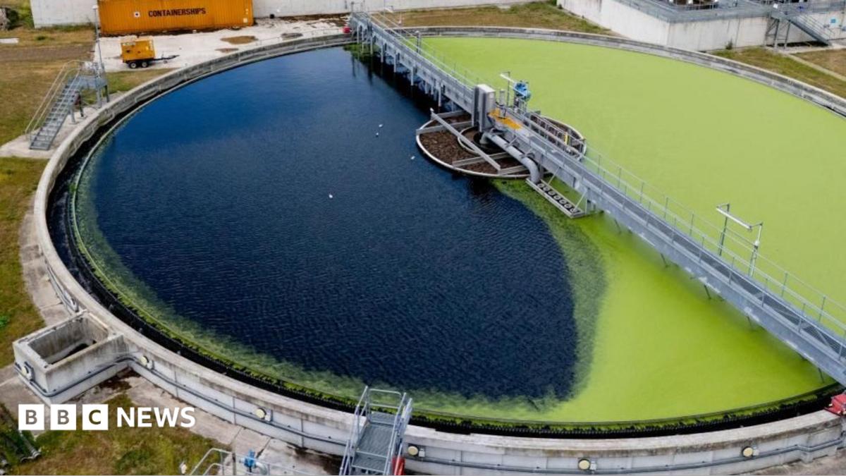 Overhead shot of a sewage treatment works, part of which is covered in what appears to be green algae