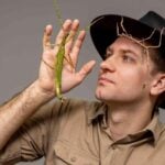 Researcher holding a large stick insect