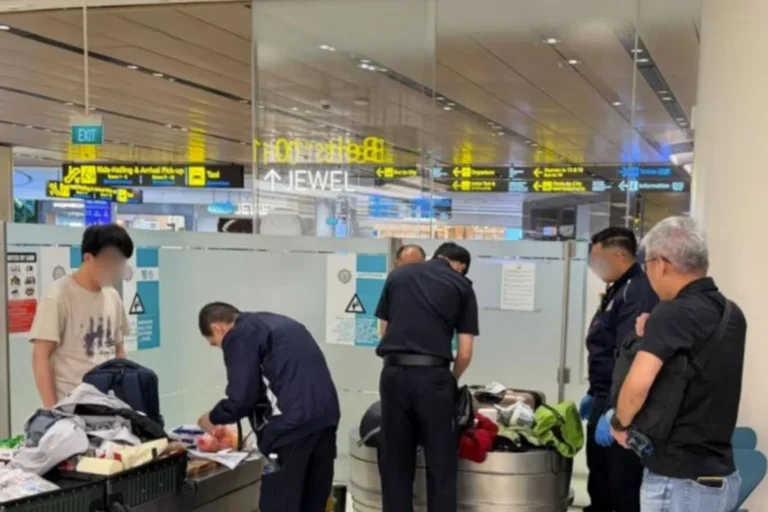 Singapore Authorities Catch 67 Travellers for Border-Related Offences