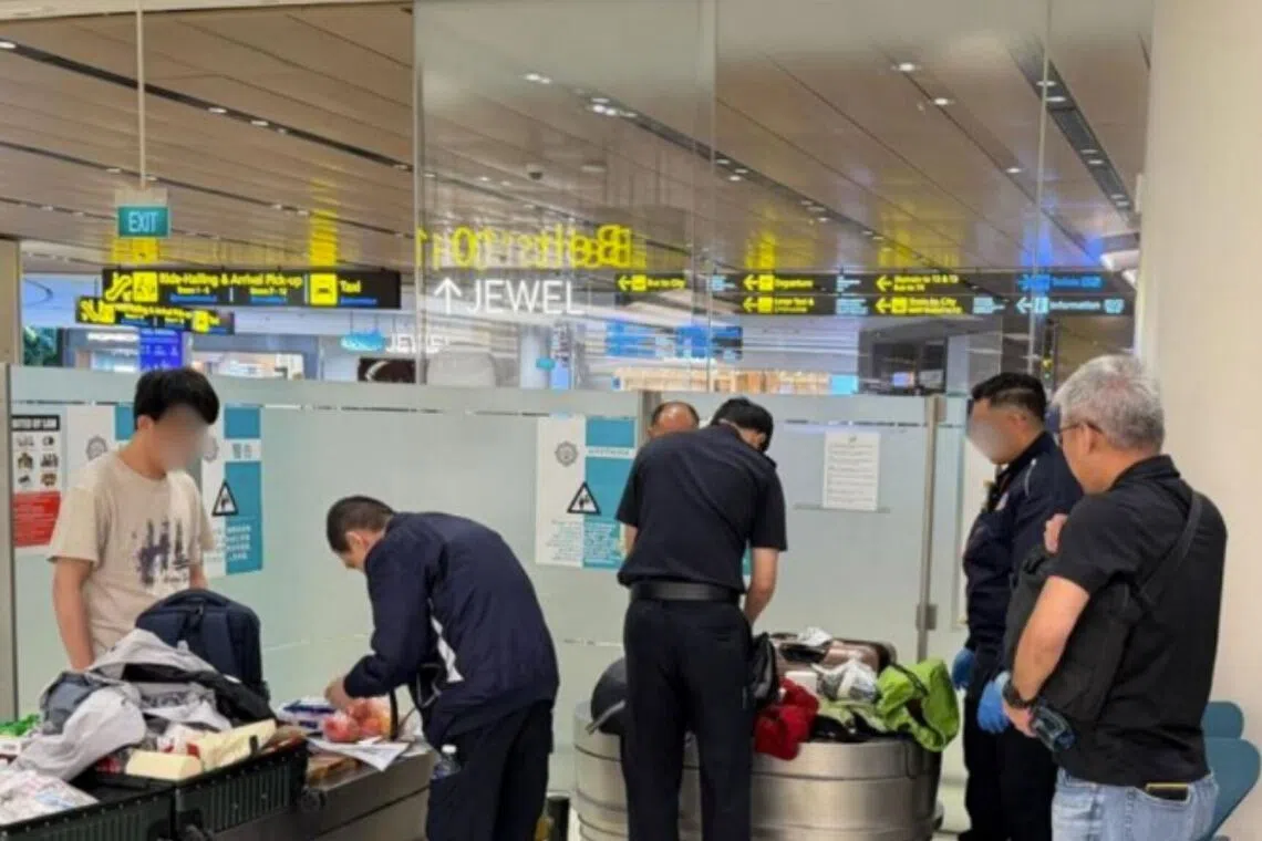 Singapore Authorities Catch 67 Travellers for Border-Related Offences