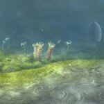 Researchers Suggest Animals May Have Evolved 200 Million Years Earlier