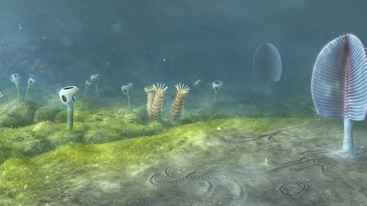 Researchers Suggest Animals May Have Evolved 200 Million Years Earlier