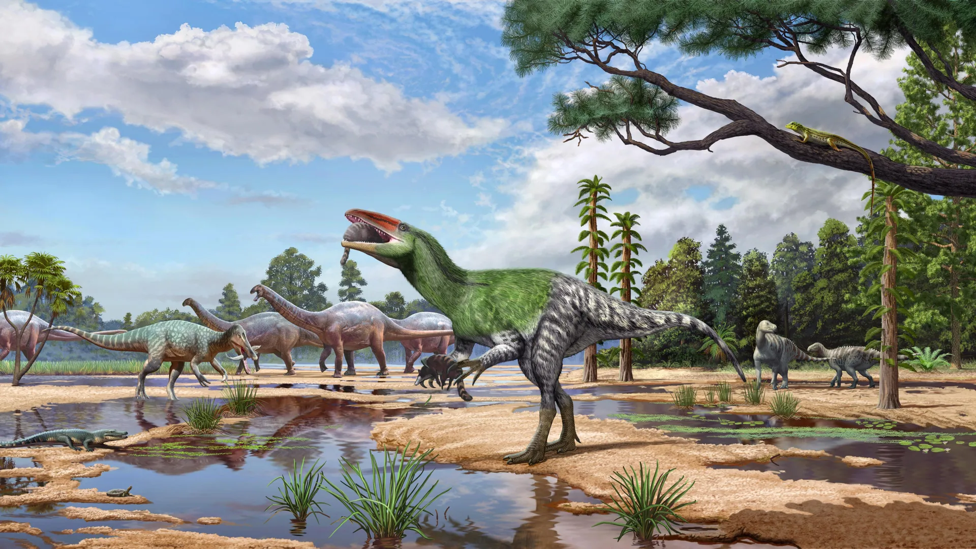 Natural History Museum Uncovers New Dinosaur Species in Century-Old Fossil