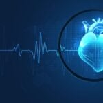 Johns Hopkins Engineers Develop Millirobots to Treat Heart Infections